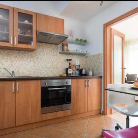Old Town Apartment Pellicova Brno Exterior photo