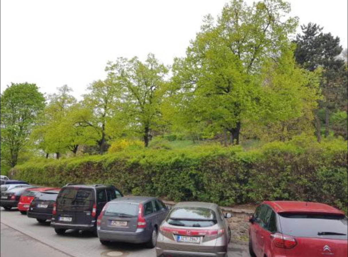 Old Town Apartment Pellicova Brno Exterior photo